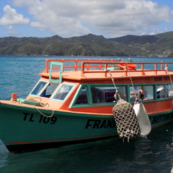 This photo shows our glass-bottomed boat that we went on to little Tobago