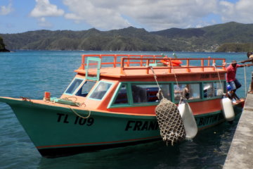 This photo shows our glass-bottomed boat that we went on to little Tobago