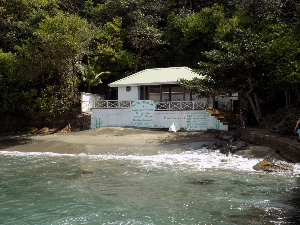 This photo shows the dock as we arrived on Little Tobago. There is a white-painted shelter.