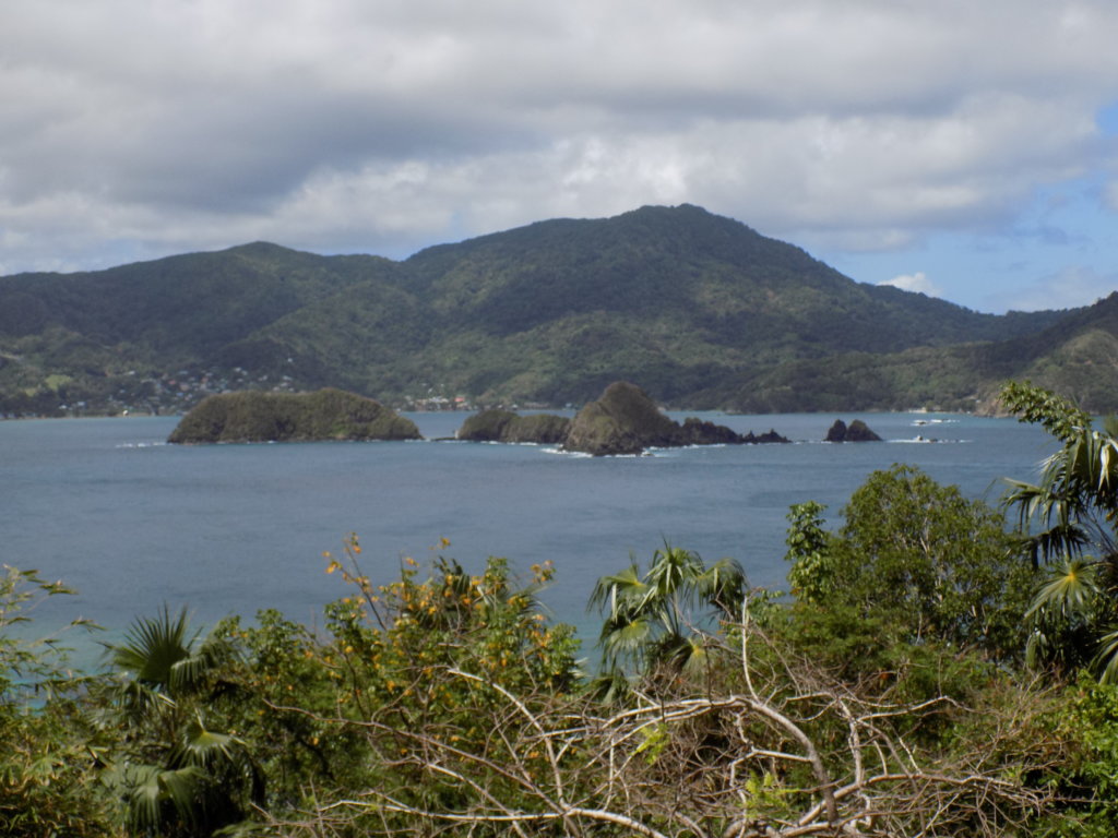 This photo shows the view from the dock on Little Tobago back to Pigeon peak with Goat Island in the foreground