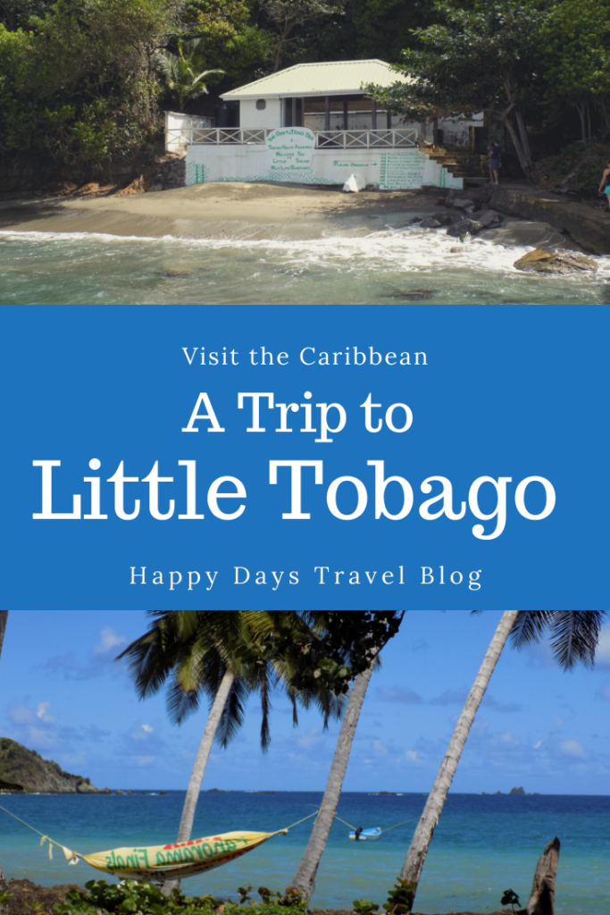 Are you going to Tobago? Make sure you visit the birdwatching paradise of Little Tobago! It will be a highlight of your holiday! #Caribbean #Tobago #boattrip #birdwatching