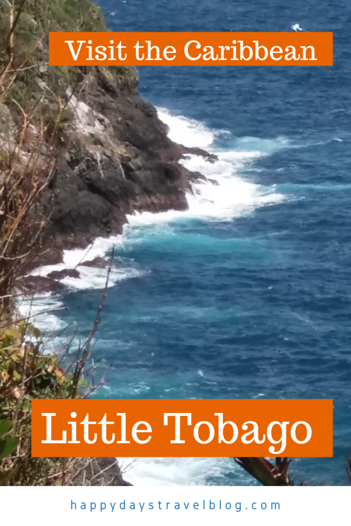 Are you going to Tobago? Make sure you visit the birdwatching paradise of Little Tobago! It will be a highlight of your holiday! #Caribbean #Tobago #boattrip #birdwatching