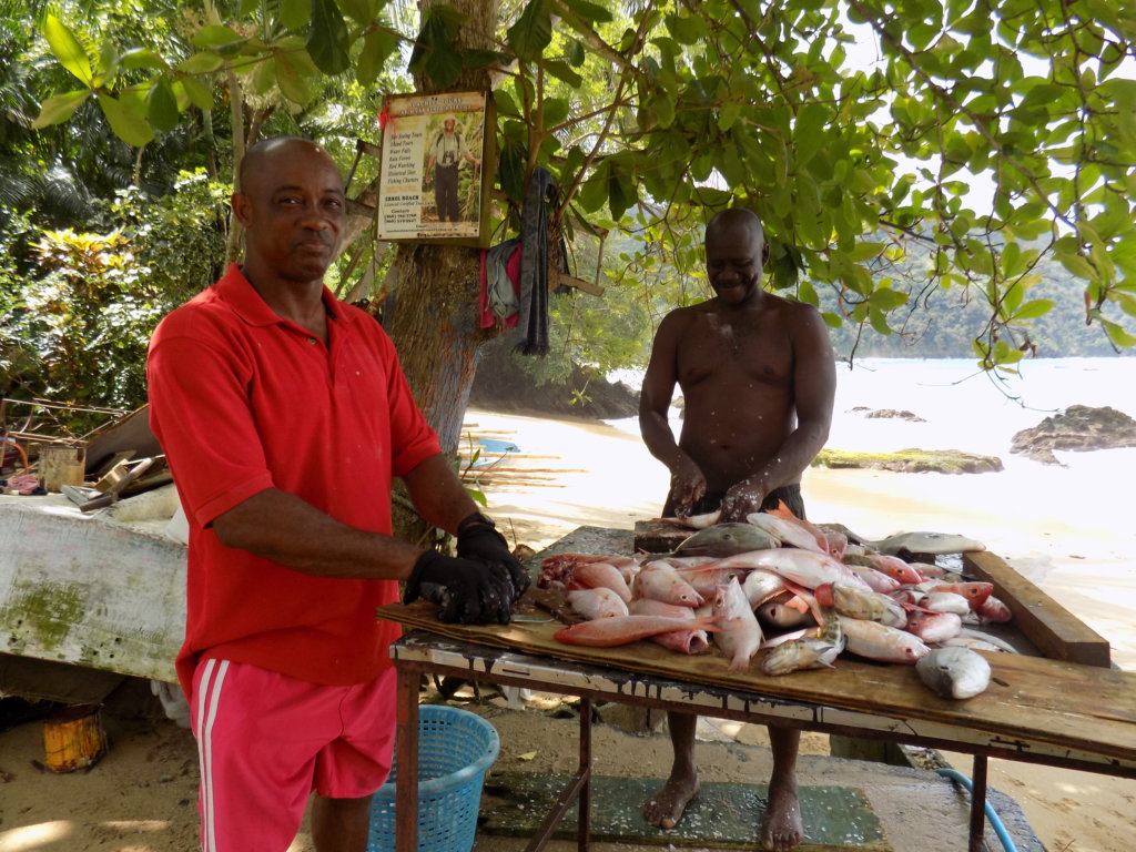 This photo shows two local fishermen gutting and cleaning their catch in Little Bay