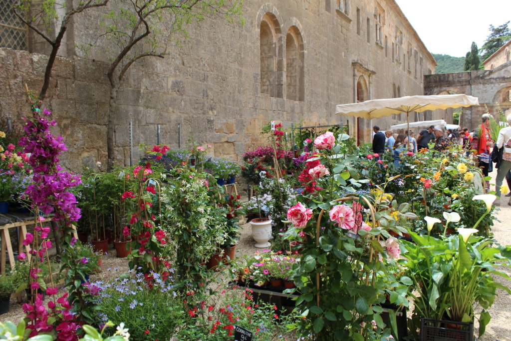 This photo shows some plant stalls in the grounds of the Abbaye de Fontfroide 