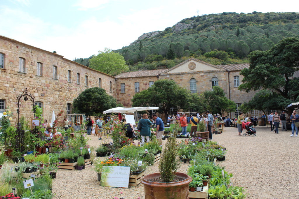 This photo shows some plant stalls in the grounds of the Abbaye de Fontfroide