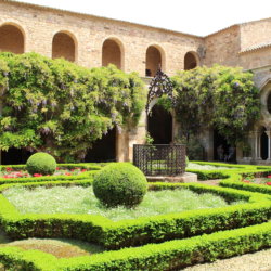 This photo shows the neat and well maintained gardens within the cloister of the Abbaye de Fontfroide