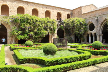 This photo shows the neat and well maintained gardens within the cloister of the Abbaye de Fontfroide