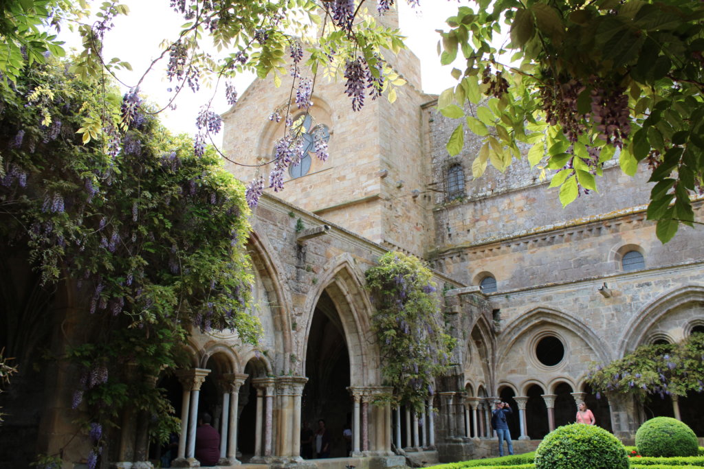 This photo shows the church framed with beautiful lilac wisteria