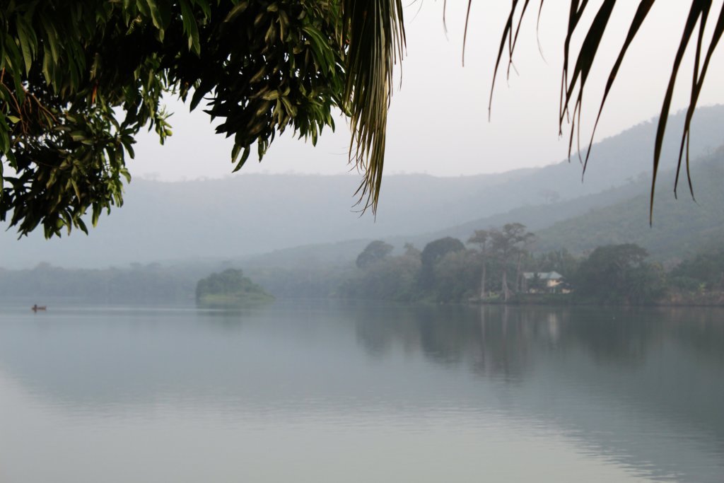 This photo shows the early morning view of the River Volta through the leaves of a tree