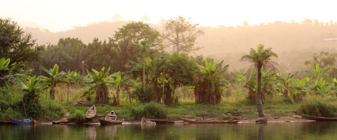 This photo shows the banks of the River Volta with the trees reflected in the water and a number of pirogues moored