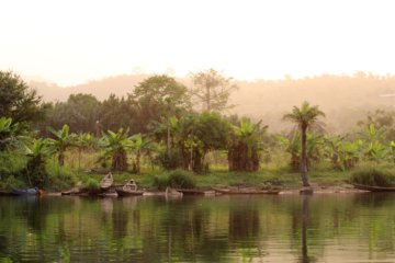This photo shows the banks of the River Volta with the trees reflected in the water and a number of pirogues moored
