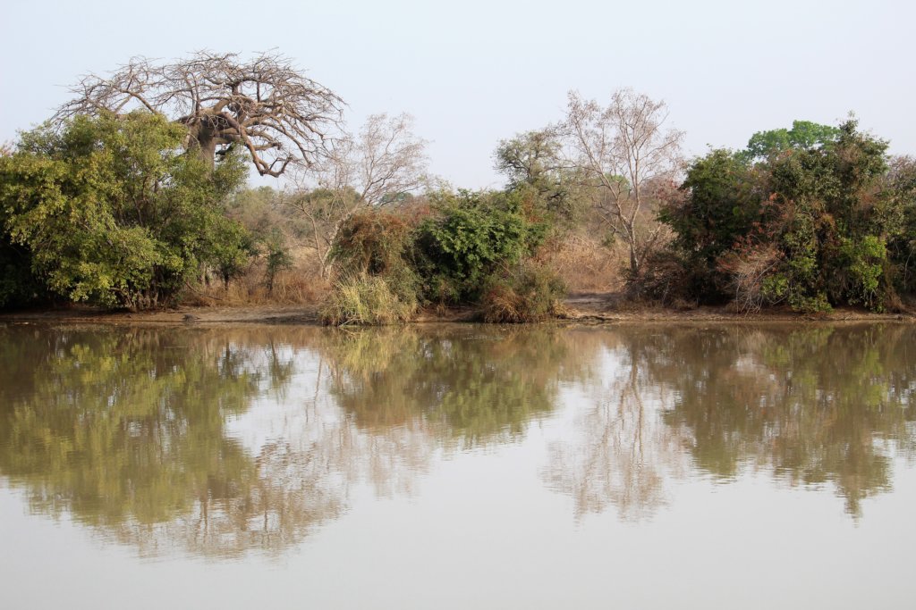 This picture shows a waterhole with the trees perfectly reflected in the still water.