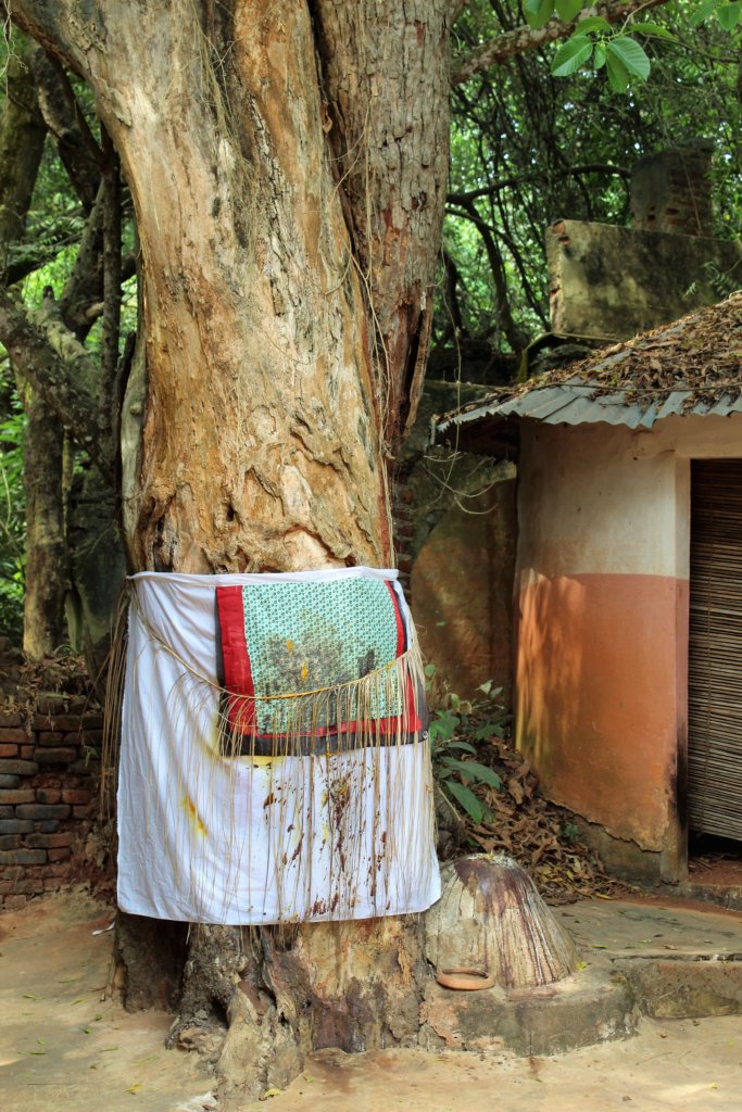 This photo shows the sacred tree wrapped in cotton fabric with streams of animal blood where sacrifices have been made 