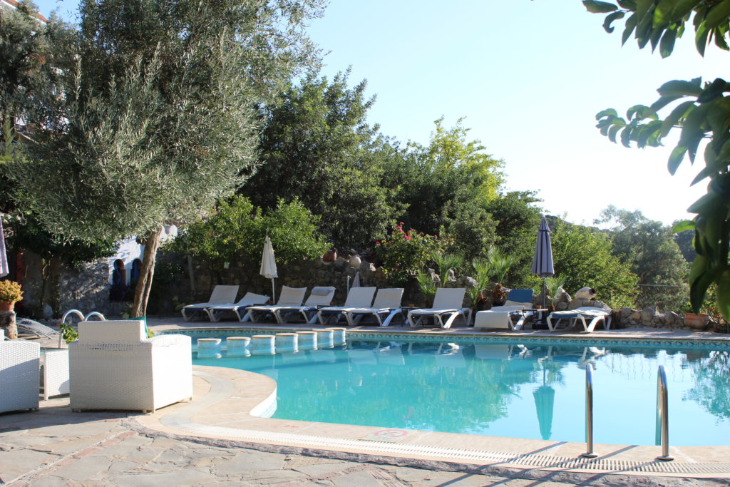 Thus photo shows the swimming pool at our hotel in Chefchaouen surrounded by trees 