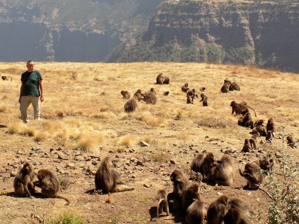 This photo shows Mark standing quietly watching a troop of baboons