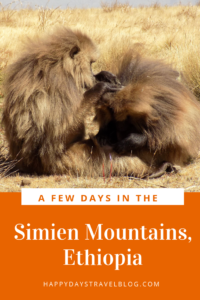 Read this article for an insight into the spectacular Simien Mountains in Ethiopia - where to stay, what you will see, what you can do. #Africa #Ethiopia #wildlife