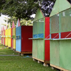 This photo shows colourful wooden huts erected on the edge of Queen's Park Savannah