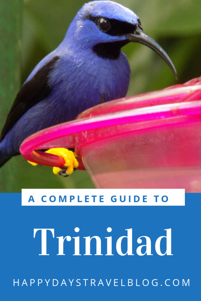 Are you planning a trip to Trinidad? Read this article for everything you need to know - essential facts, where to eat, what to see and do. #travel #travelblogger #Caribbean #Trinidad