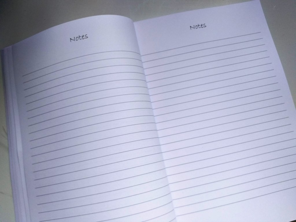 This picture shows a lined double-page in the 2020 travel diary where you can write notes