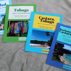 This photo shows four colouring books featuring images of the Caribbean