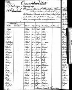 This photo shows the first page of the record of slaves held by Concordia Estate in 1819