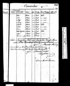 This photo shows the last page of the record of slaves held by Concordia Estate in 1819
