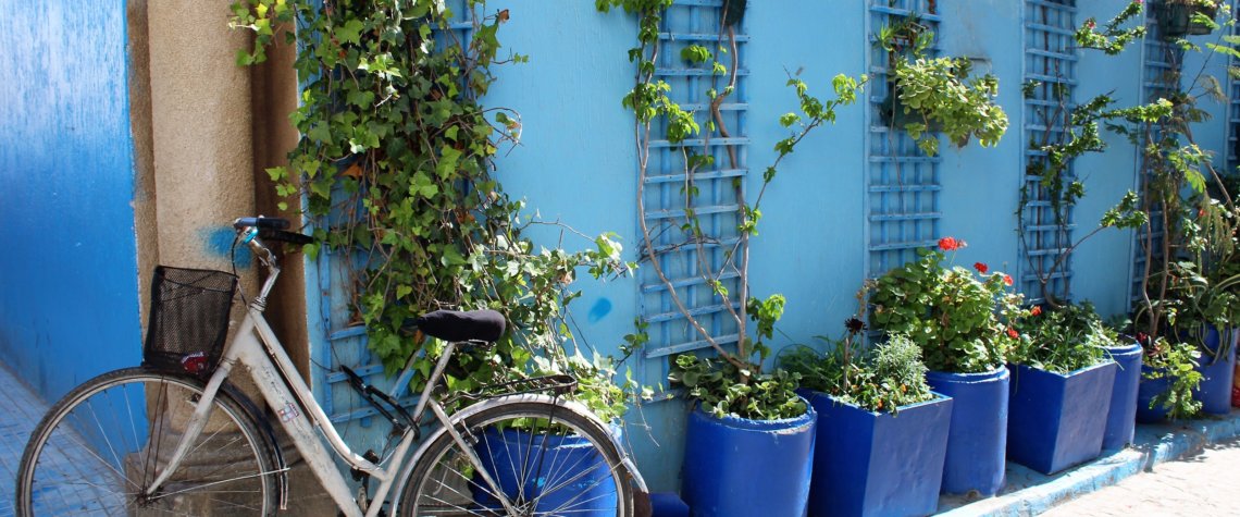 This photo shows a bike leaning against a brilliant blue wall with green foliage growing out of royal blue plant pots.