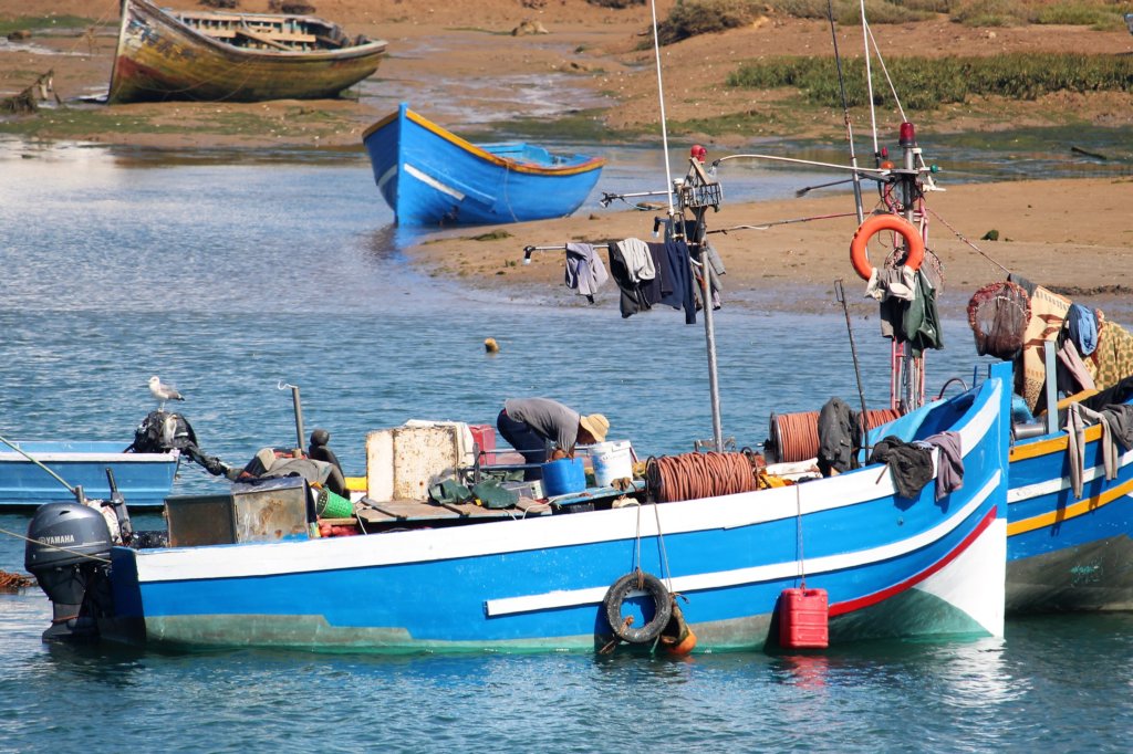 This photo shows several blue fishing boats moored on the river