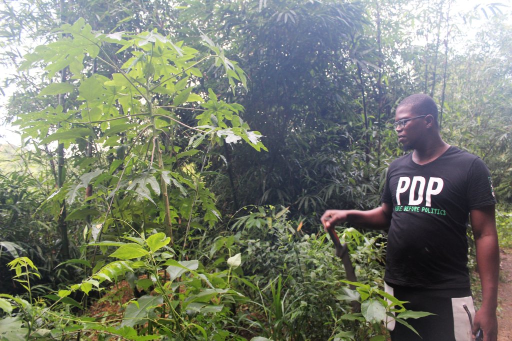 This photo shows Leroy standing next to a tree explaining to us how it is used in medicine