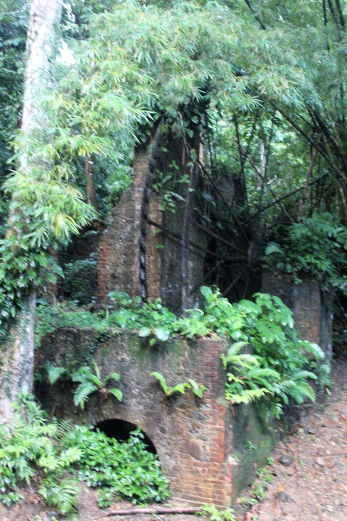 This photo shows the remains of the water wheel built on Concordia Estate in the early 1800s 