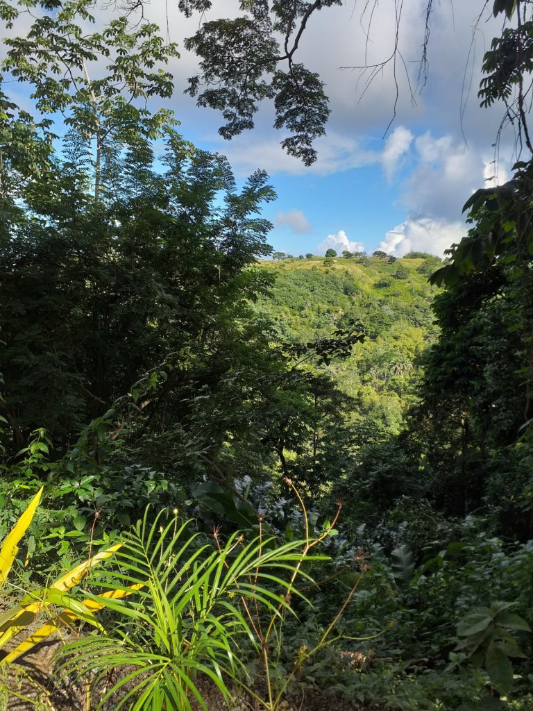 This photo shows the view across the valley with verdant trees set against a blue sky