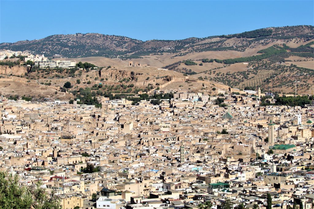 This photo shows the sprawling medina in Fez with its tightly packed buildings