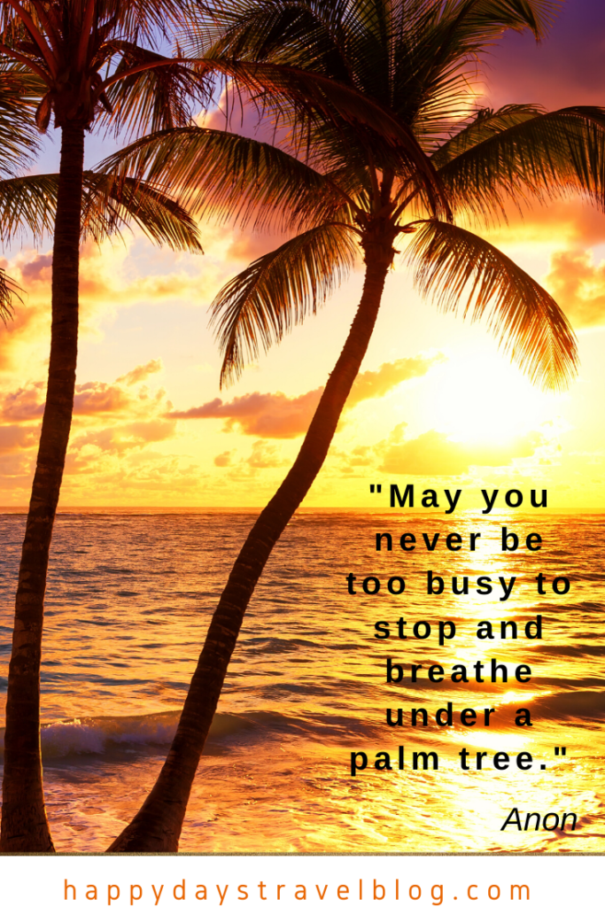 This photo shows a sunset over the sea with palm trees in the foreground and the caption, 'May you never be too busy to stop and breathe under a palm tree.'