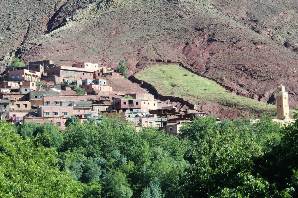This photo shows the mud-built houses of a village in the High Atlas with lush green trees in the foreground and steep slopes behind