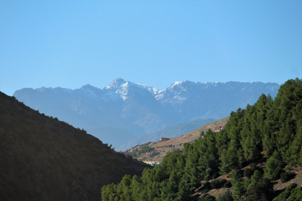 This photo shows tree covered hills with snow-tipped mountains in the distance set against a brilliant blue sky