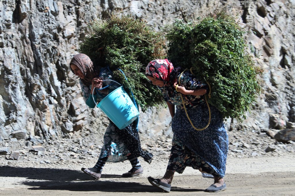 This photo shows two Berber ladies walking along the road bent double with the weight of the loads on their backs