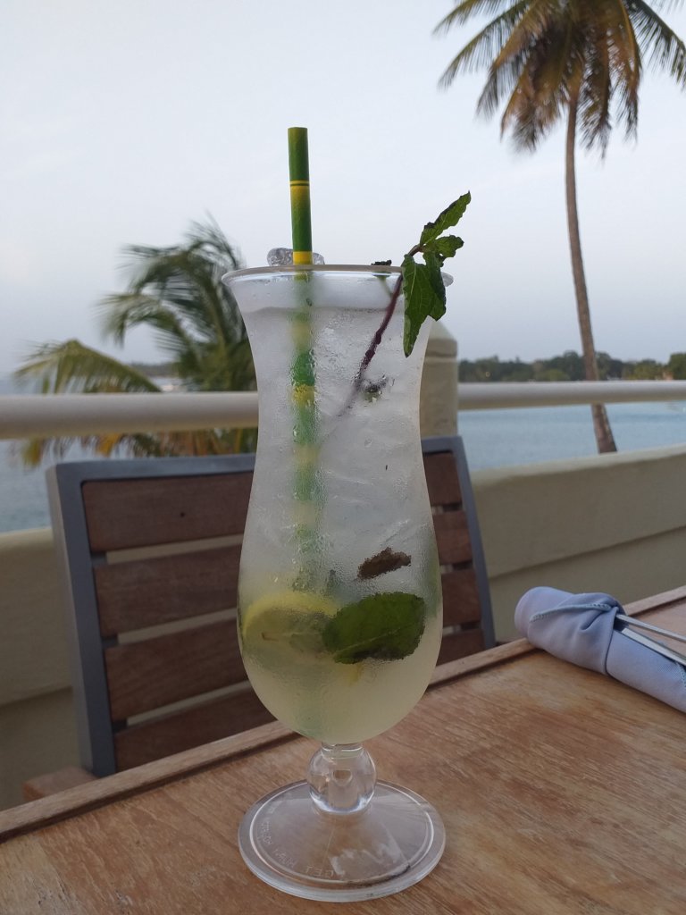 This photo shows a mojito in a tall glass with lemon slices and sprigs of mint