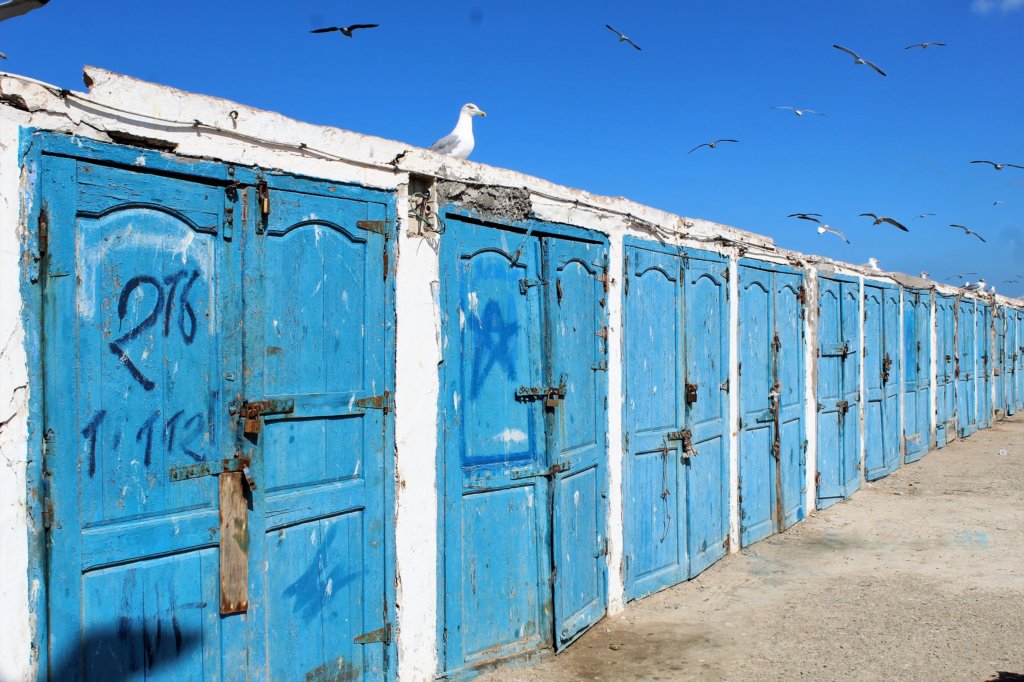 This photo shows a row of fishermen's sheds all painted blue