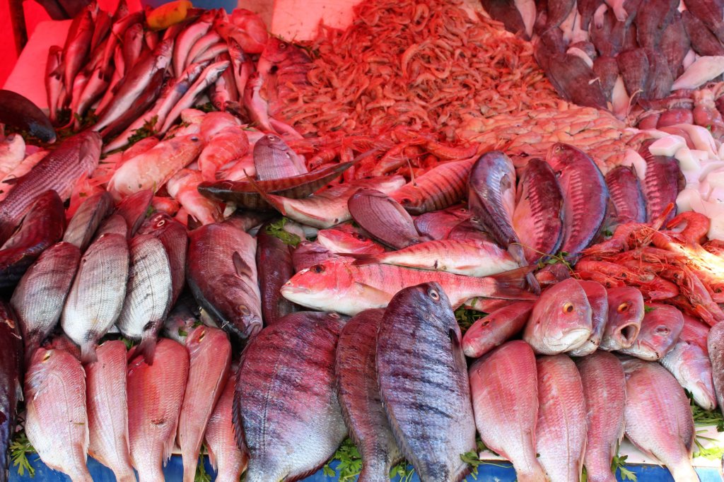 This photo shows an attractive display of different varieties of fish