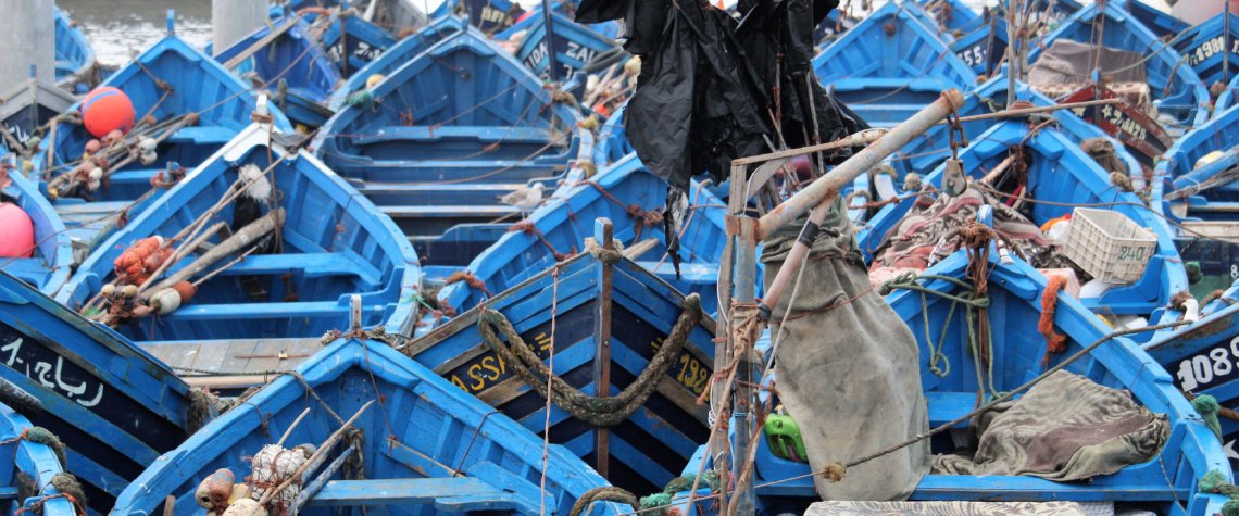 This photo shows lots of bluye fishing boats