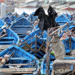 This photo shows lots of bluye fishing boats