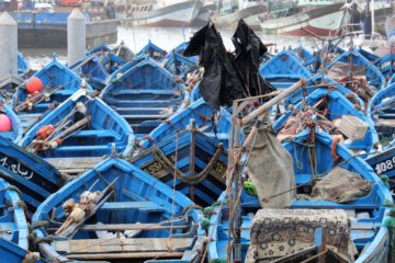 This photo shows lots of bluye fishing boats