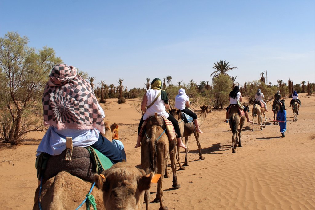 This photo shows our group on our camels walking in single file across the desert