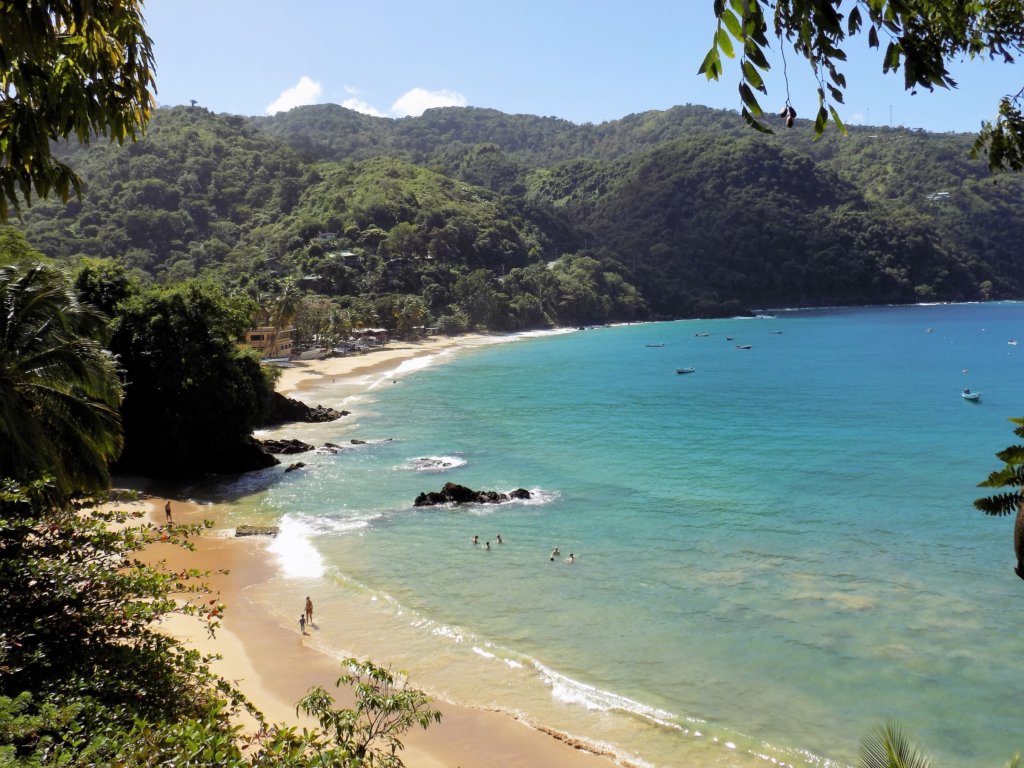 This photo shows turquoise sea lapping on to a white sand beach backed by lush green jungle