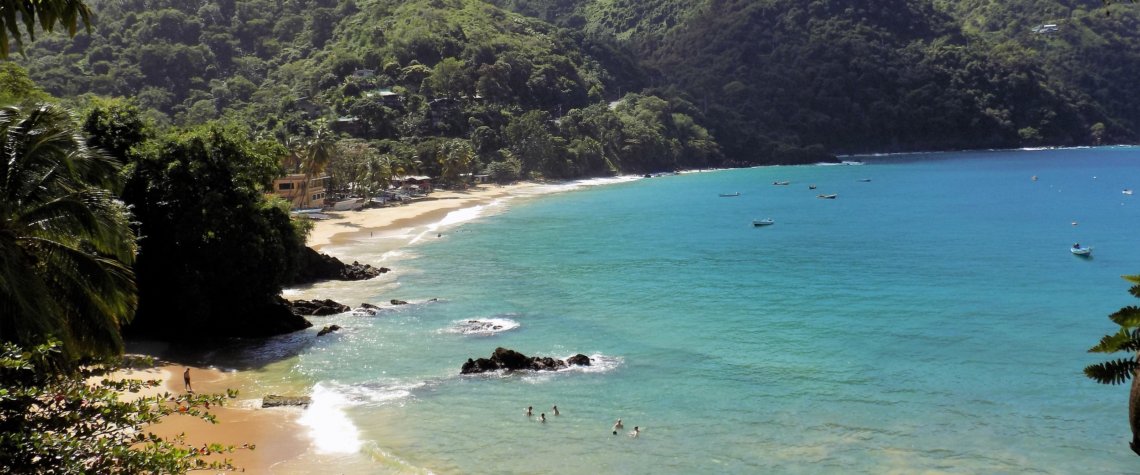 This photo shows turquoise sea lapping on to a white sand beach backed by lush green jungle