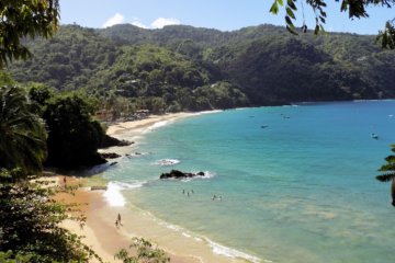 This photo shows turquoise sea lapping on to a white sand beach backed by lush green jungle