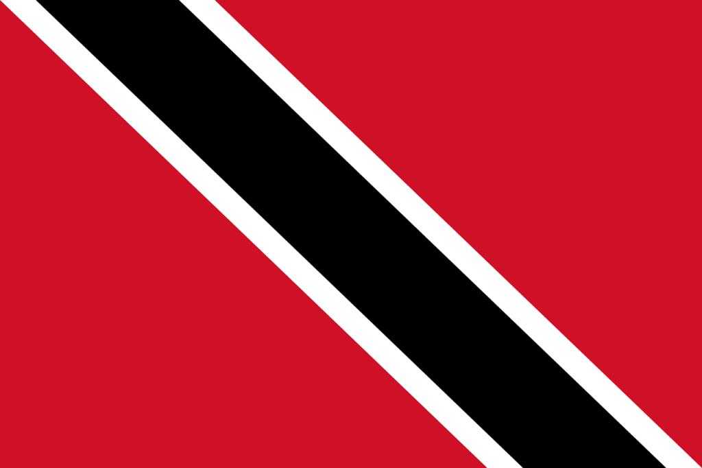 This picture shows the flag of Trinidad and Tobago - a black diagonal stripe with a white border on a red background