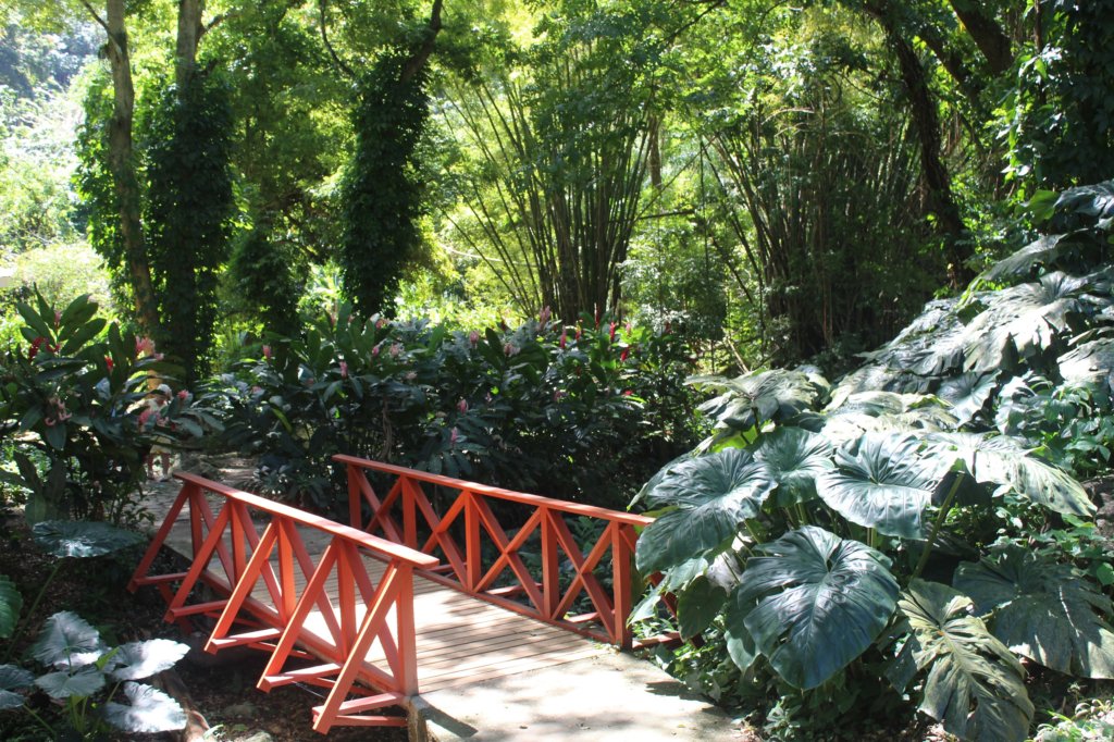 This photo shows a bridge over a straem with lots of dappled shade