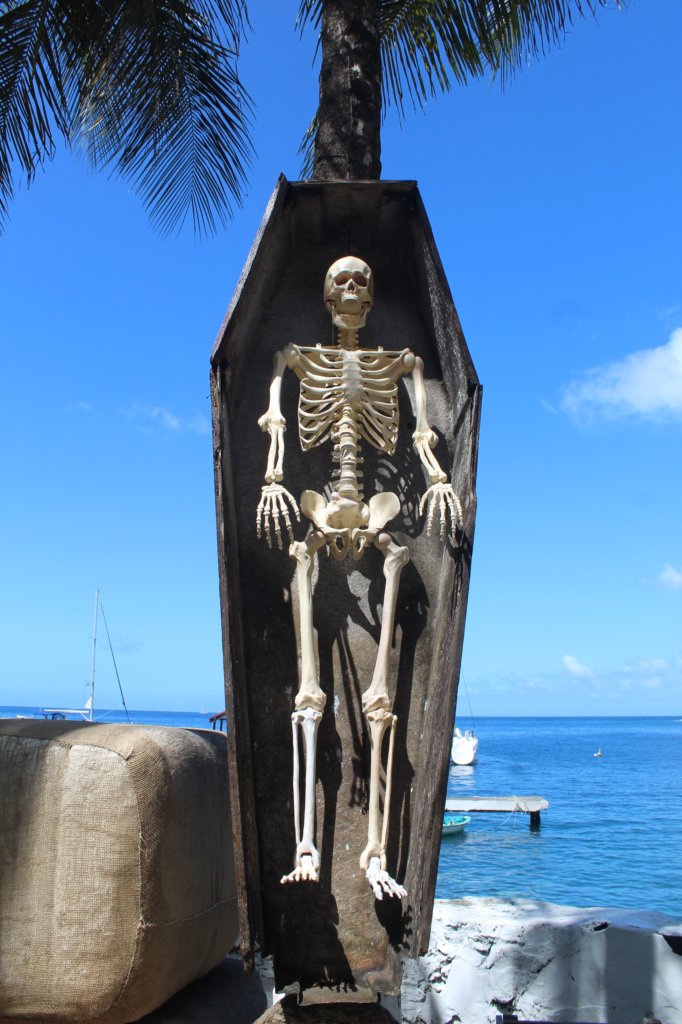 This photo shows a skeleton in a coffin