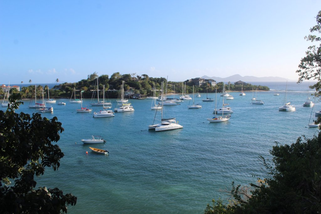 This photo shows yachts in a harbour with a lush green island in the background